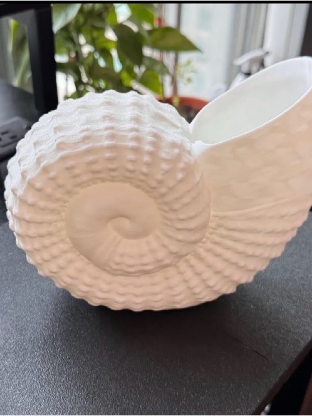 White Nautilus Shell Ceramic Vase - Home Art